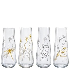 VÝPREDAJ Crystalex Poháre na prosecco MEADOW 250 ml