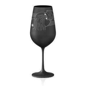 Crystalex poháre Zverokruhy Vodnár čierna 550 ml
